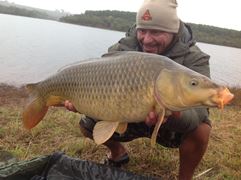 Ardy Veltkamp